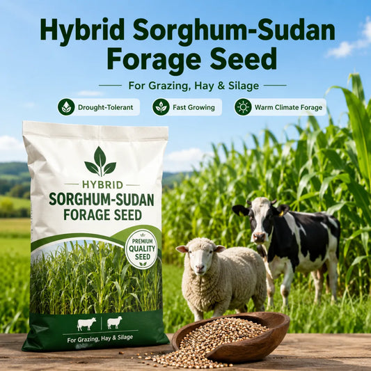 High-Yielding Forage Seed YT